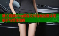 糖心视频vlog缓存文件存储位置详细解析与管理指南
