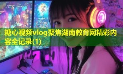 糖心视频vlog聚焦湖南教育网精彩内容全记录(1)