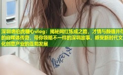 深圳唐伯虎糖心vlog：揭秘网红炼成之路，才情与颜值并存的自媒体传奇，带你领略不一样的深圳故事，感受新时代文化创意产业的蓬勃发展